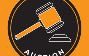 Salvage Auction